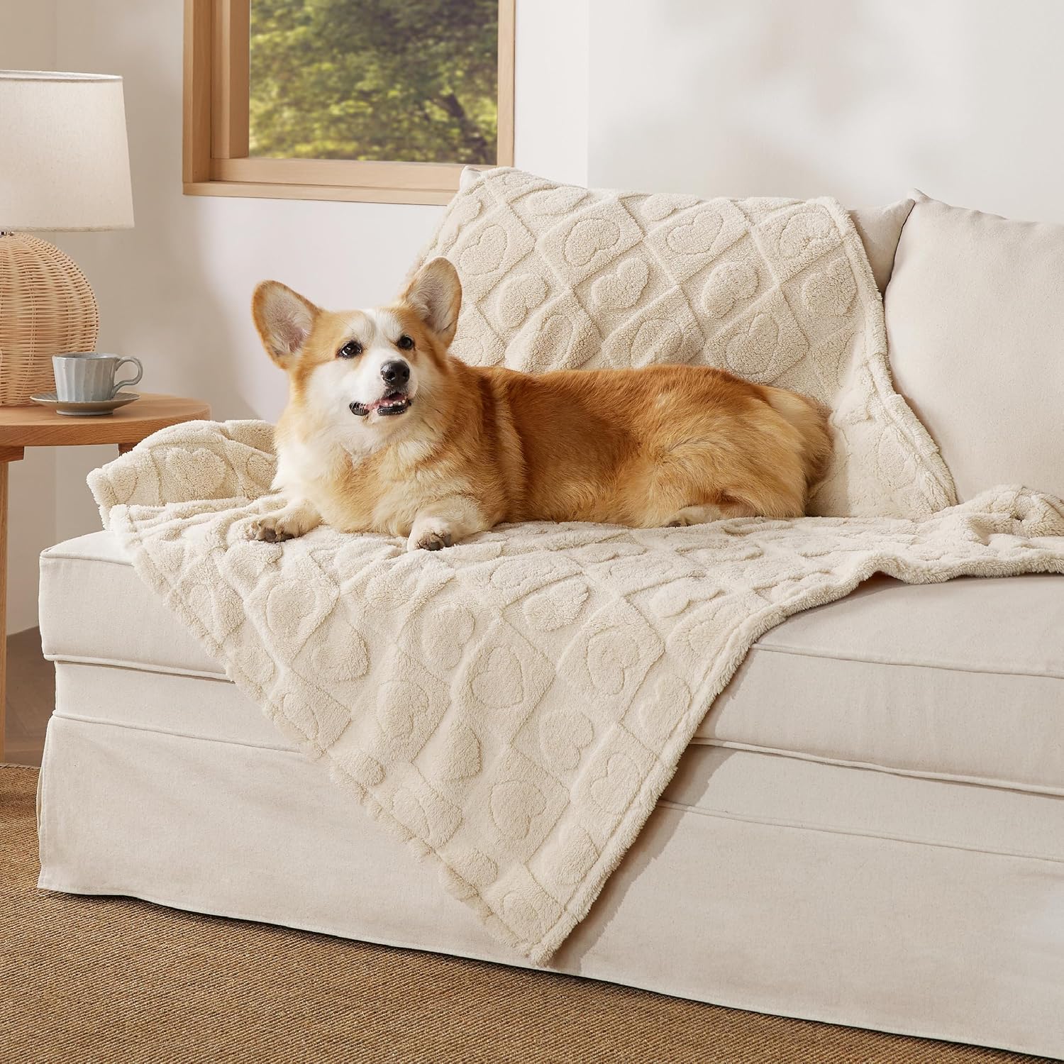 Bedsure Waterproof Dog Blankets Grey for Large Dogs Dog Blanket White 40"X50"